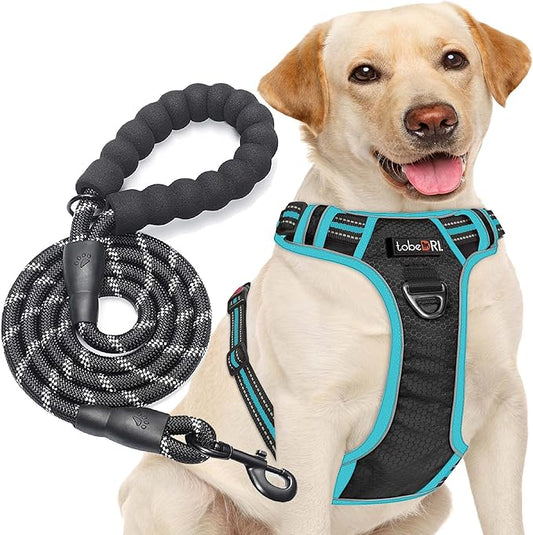No Pull Dog Harness Adjustable Reflective Oxford Easy Control Medium Large Dog Harness with A Free Heavy Duty 5ft Dog Leash (S (Neck: 14"-17", Chest: 18.5"-20"), Black/Blue Harness+Leash)