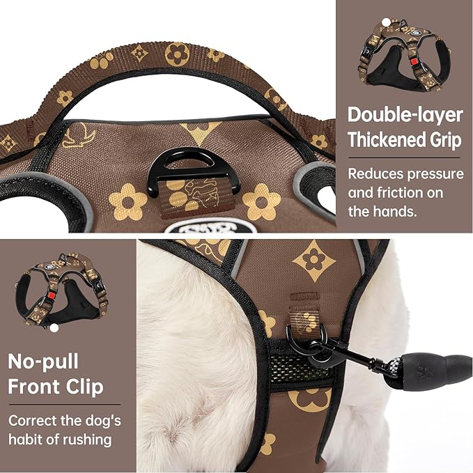 IVY&LANE No Pull Dog Harness with Leash Set, Reflective No Choke Pet Vest,Adjustable Oxford Dog Vest Harness with Easy Control Handle for Large Dogs (Dark Brown,XL)