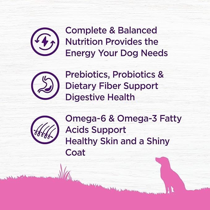 Wellness Complete Health Dry Dog Food for Small Dogs, Toy Breed, Wholesome Grains, Natural, Chicken, Brown Rice, & Peas Recipe, 4-Pound Bag