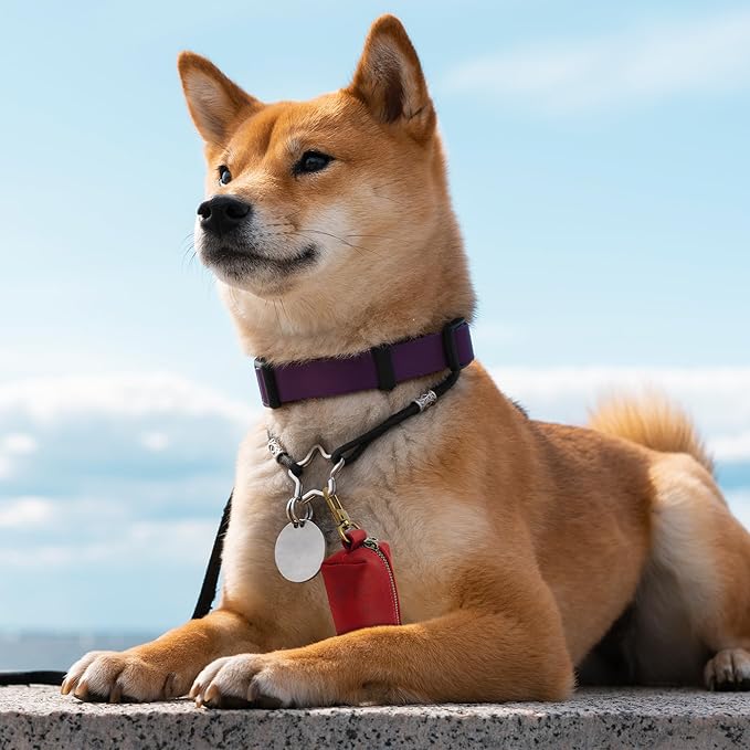 HIFA Genuine Leather Dog Waste Holder - Soft Touch Rustic Leather, Metal Clips and Easy Access to Pet Waste Bags - Dog Poop Bag Dispenser for Outdoor Walking