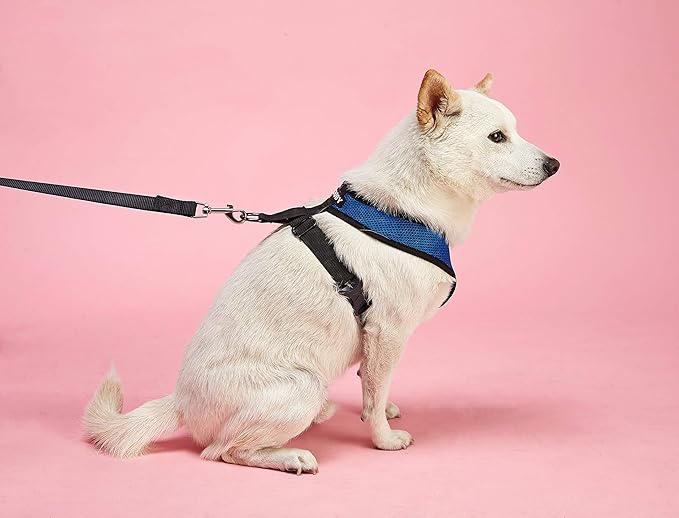Gooby Comfort X Head in Harness - Red, Large - No Pull Small Dog Harness, Patented Choke-Free X Frame - Perfect on The Go Dog Harness for Medium Dogs No Pull or Small Dogs for Indoor and Outdoor Use