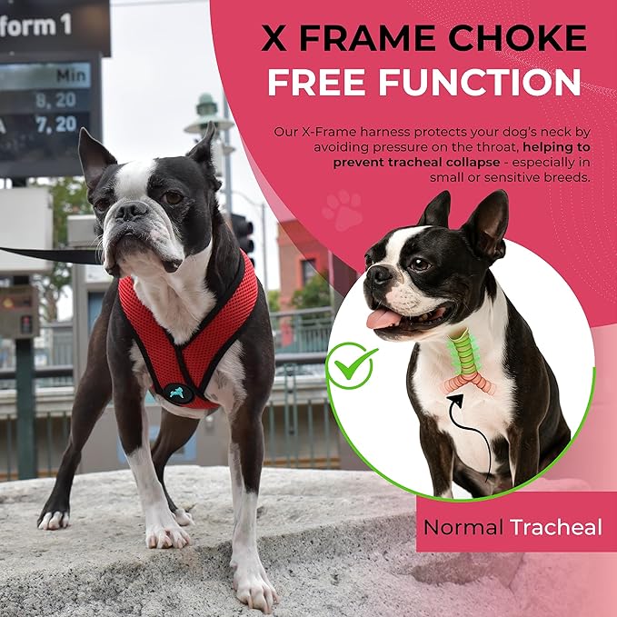 Gooby Comfort X Head in Harness - Red, Medium - No Pull Small Dog Harness, Patented Choke-Free X Frame - Perfect on The Go Dog Harness for Medium Dogs No Pull or Small Dogs for Indoor and Outdoor Use