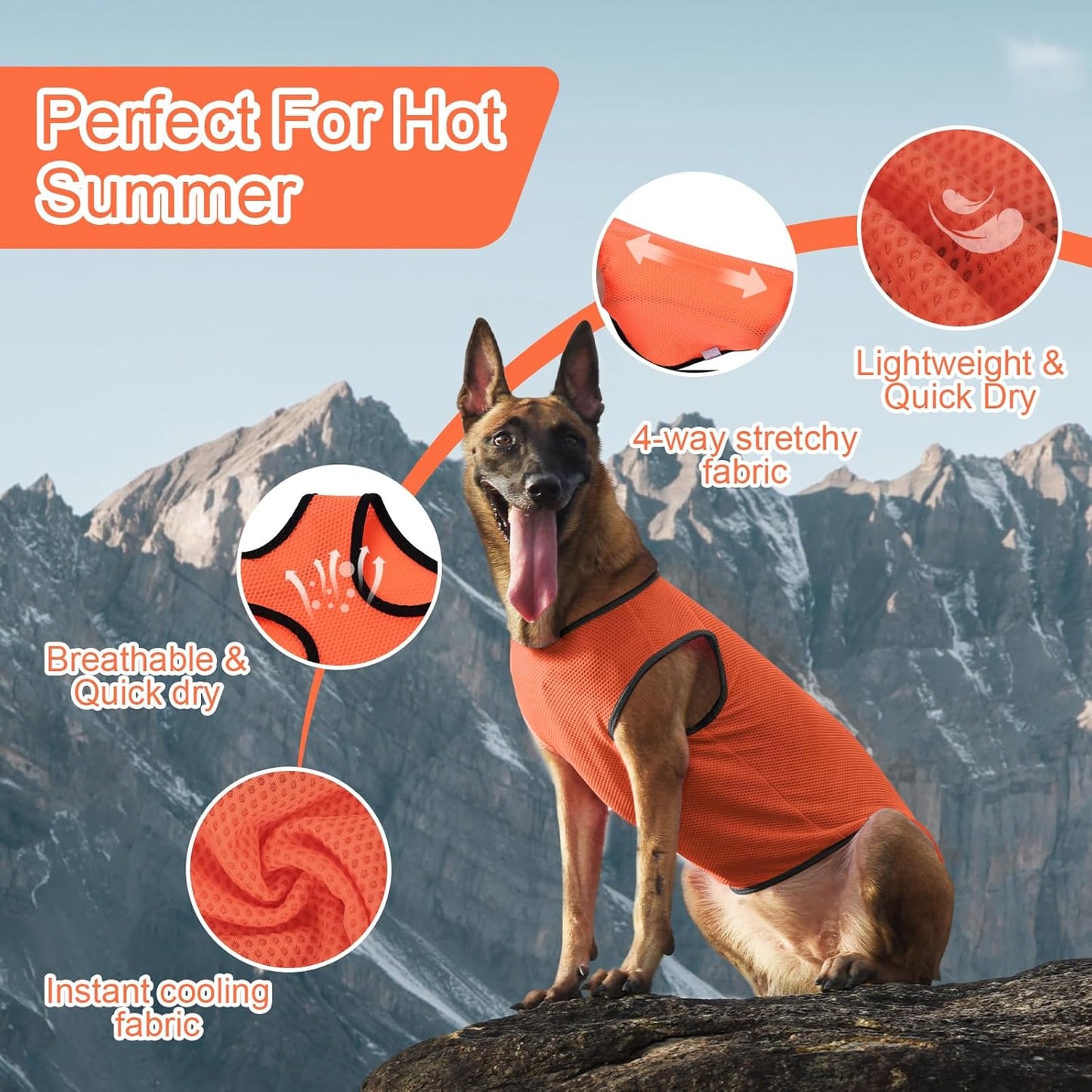 2 Pack Cooling Shirts for Dogs, Lightweight Mesh Breathable Dog Clothes for Small Dogs Boy Girl,Sun-Protection Sleeveless Shirts for Dog&Cat Puppy Vest Pet Apparel - S