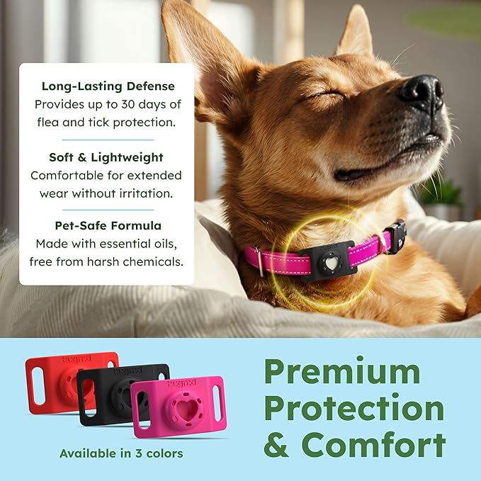 BugMD Paw Guardian Flea and Tick Prevention Pendant for Dogs & Cats with AirTag Holder | Plant-Powered Flea & Tick Control for Dog Collars & Cat Harnesses | Cat and Dog Tag with Air Tag Holder - BLACK