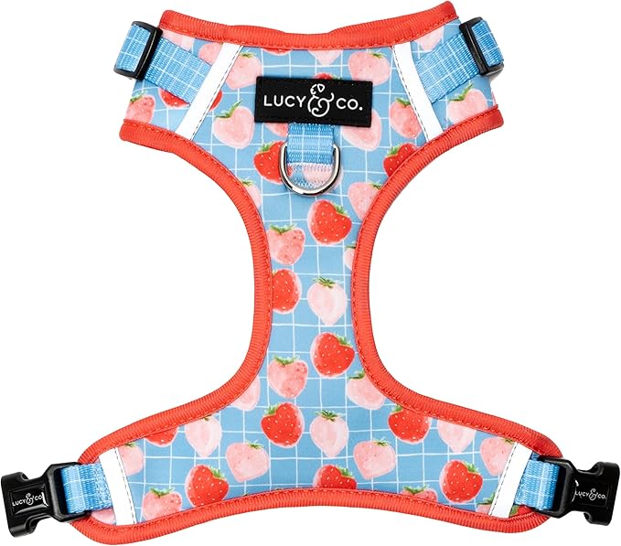 Lucy & Co. The Fresh Berries No-Pull Dog Harness - Size X-Small - Vest to Stop Pulling & Walk Easy - Comfortable Leash Training Product w/Adjustable Chest & Neck Straps