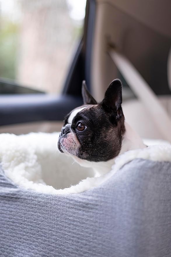 Snoozer Dog Car Seat: Lookout I Dog Booster Car Seat for Dogs Small 5-15 lbs, Size: Small, Fabric: Stone Diamond, Pet Booster to Alleviate Motion Sickness for Dogs, Removable Machine Washable Cover