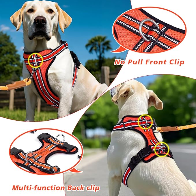 Wisedog Ajustable Mesh Breathable Dog Harness - Reflective Webbing, Lightweight No Pull Harness with 3 Fast-Release Buckles for Dogs Walking, Running and Outdoor Adventures, Orange L