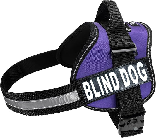 Doggie Stylz Blind Dog Harness No Pull No Escape Dog Vest for Blind Dogs Adjustable Vest with Handle Blind Dog Accessories and Patches for Training and Mobility