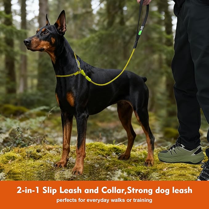 Slip Lead Dog Leash,Training Leash,No-Pull Slip Lead and Collar,Heavy Duty&Durable,5ft Thin Slip Lead for Small,Medium and Large Dogs (Dark green1.5M Long)