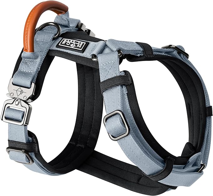 MADE TO ROAM Premium Explorer Harness - Y-Shaped Dog Harness with Adjustable Durable Nylon, Soft Padding, Metal Buckles and Leather Handle for Small, Medium, Large Dogs (Virginia Mountains, Size 2)