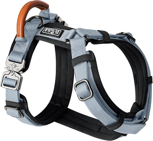 MADE TO ROAM Premium Explorer Harness - Y-Shaped Dog Harness with Adjustable Durable Nylon, Soft Padding, Metal Buckles and Leather Handle for Small, Medium, Large Dogs (Virginia Mountains, Size 6)