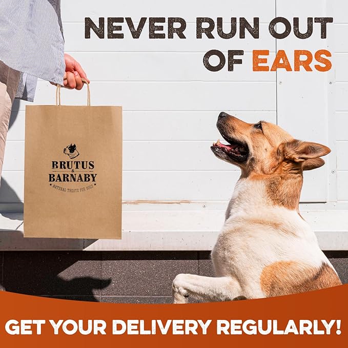 Cow Ears for Dogs – Whole Ears 12 ct, Thick Cut, Grass-Fed Angus Beef, All-Natural No-Rawhide Dog Treat Alternative