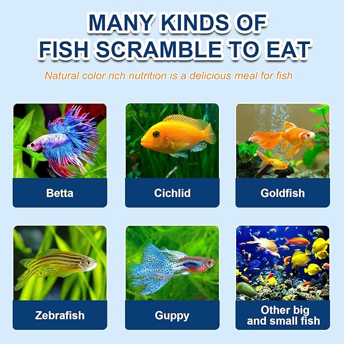 Freeze Dried Blood Worms for Fish – Natural High Protein Fish Food,Enhances Color & Growth for Betta,Cichlid, Goldfish, Guppy (3 oz)