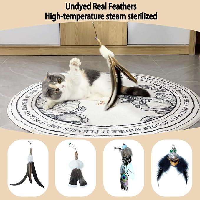 Cat Wand Refill Feather 5PCS - Undyed Natural Feather Attachment Replacement with Bell,Clasp