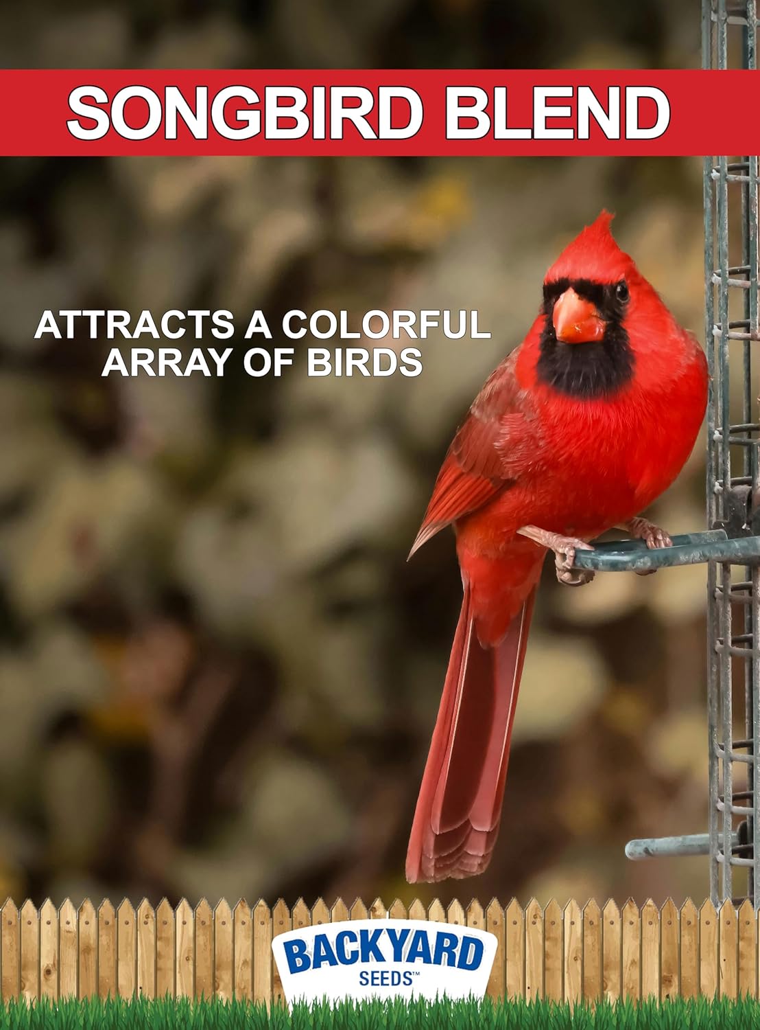 CountryMax Backyard Seeds Songbird Blend Wild Bird Seed – 50 lb Bag – Premium Mix with Sunflower Seeds, Safflower, Peanuts, Millet – Attracts Cardinals, Finches, Chickadees, and More