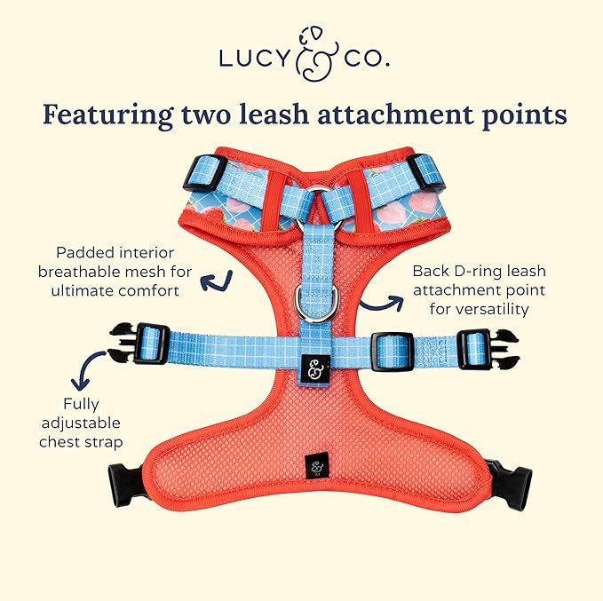 Lucy & Co. The Fresh Berries No-Pull Dog Harness - Size X-Small - Vest to Stop Pulling & Walk Easy - Comfortable Leash Training Product w/Adjustable Chest & Neck Straps