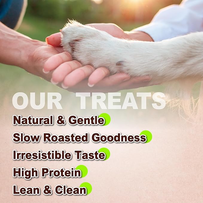 AFreschi Natural Chicken Chips 16 oz, Dog Treats, All Natural, Grain-Free, High-Protein, Low Fat, Healthy & Easily Digestible