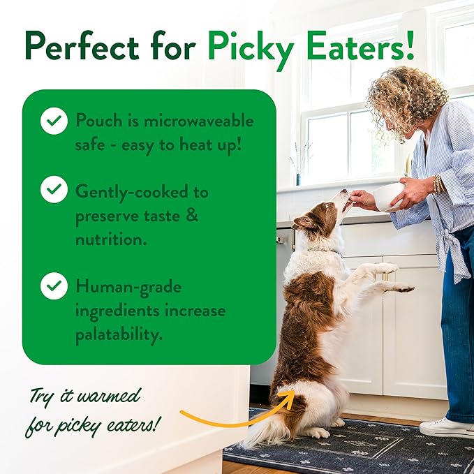 Portland Pet Food Company Grandma Ada's Turkey & Yams Fresh Dog Food Pouches - Human-Grade, Grain-Free Wet Meal Topper Mixer & Meals - Small & Large Breed Puppy & Senior Dogs - USA Made - 5 Pack