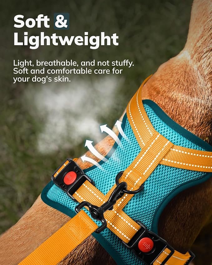 MIDOG No-Pull Dog Harness | Adjustable & Reflective Pet Harness Leash Set for Small Medium Large Dogs Walking, Training| No Choke, Front Clip, Soft Padded Vest with Easy Control Handle - Blue, XS