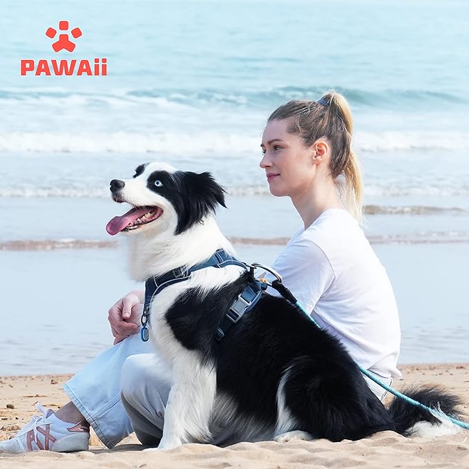 Pawaii No Pull Dog Harness with Pet ID Tag,Reflective Strips No Choke Front O Ring Breathable Mesh Adjustable Soft Padded Pet Vest with Easy Control Handle for Large Dogs
