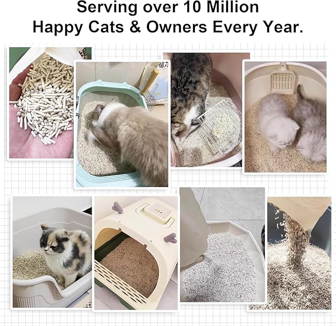 FUKUMARU Mixed Tofu Cat Litter, Strong Clumping Cat Litters, Effective Oder Control, Dust Free and Ultra Absorbent Flushable Bentonite White Tea Cat Litter, Direct to Toliet, 12 LB(2 Packs)