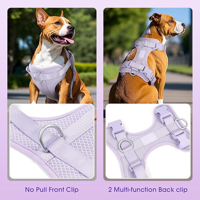 Wisedog Mesh Breathable Dog Harness: No Pull Harness with 3 Fast-Release Buckles Adjustable for Walking & Training for Small Medium Large Dogs (Lilac, S: Neck=14"-19"/Chest=13"-24")