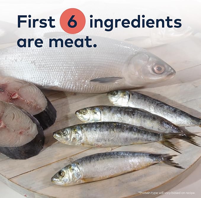 ZIWI Peak Steam & Dried Cat Food – Cage-Free Chicken w/Whole Mackerel - High Protein, Skin & Coat Health, Low Carb, for All Life Stages (28.8oz)