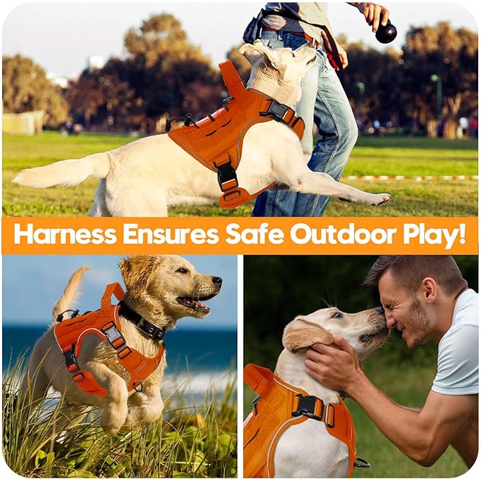 Heavy-Duty Tactical Dog Harness for Large Dogs, No Pull Adjustable Reflective Pet Vest with Molle System, K9 Military-Grade Control for Service Training, Outdoor & 10+ Breeds, Orange, Small