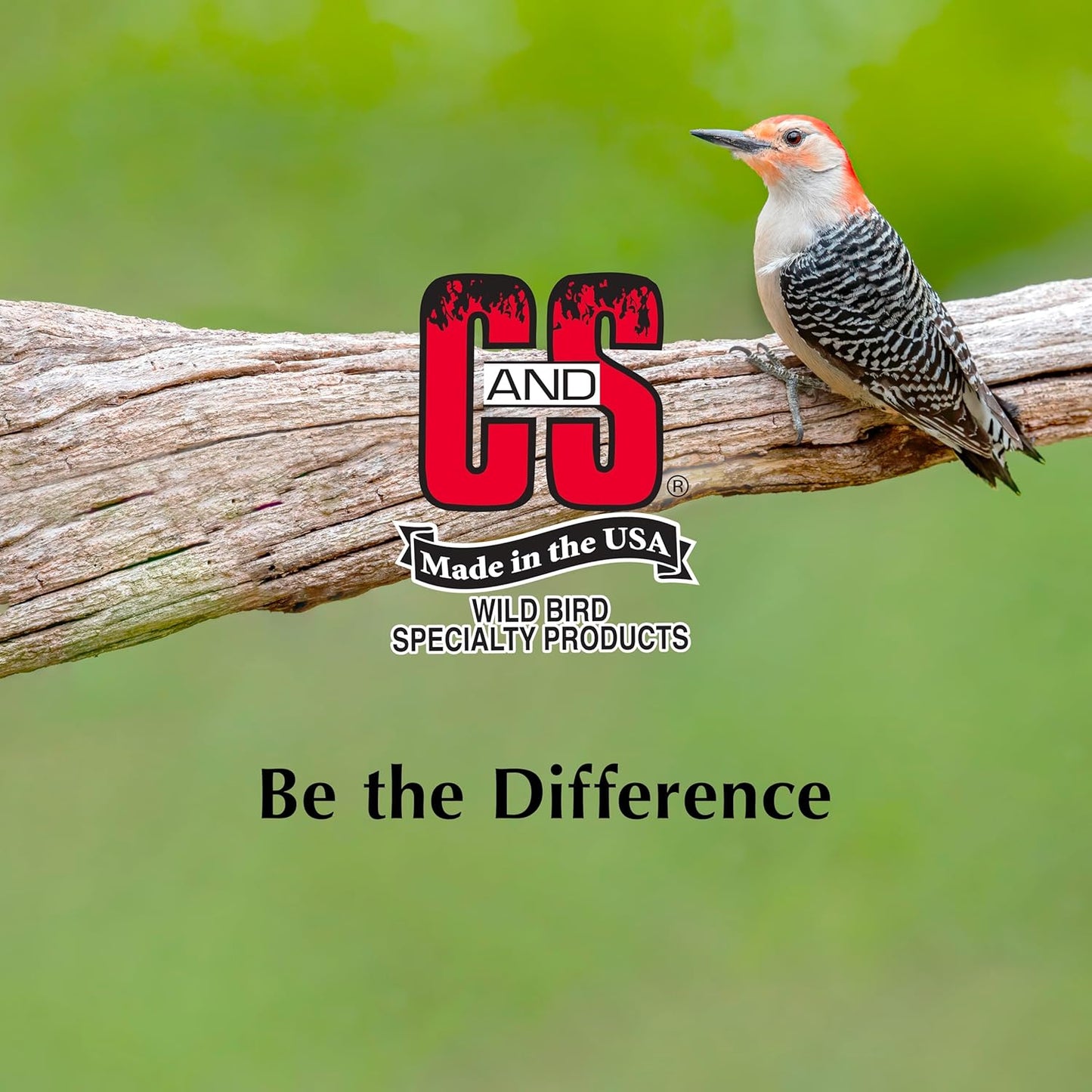 C&S Wild Bird Woodpecker Suet Nuggets Mega Box, 8 Pounds