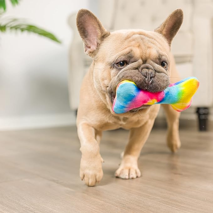 Huxley & Kent Tiny Tuff | Out for Brunch | Extra Tough Dog Toy for Small Dogs | 2-Pack Funny Dog Toy | Features Squeaker, Crinkle | Machine Washable