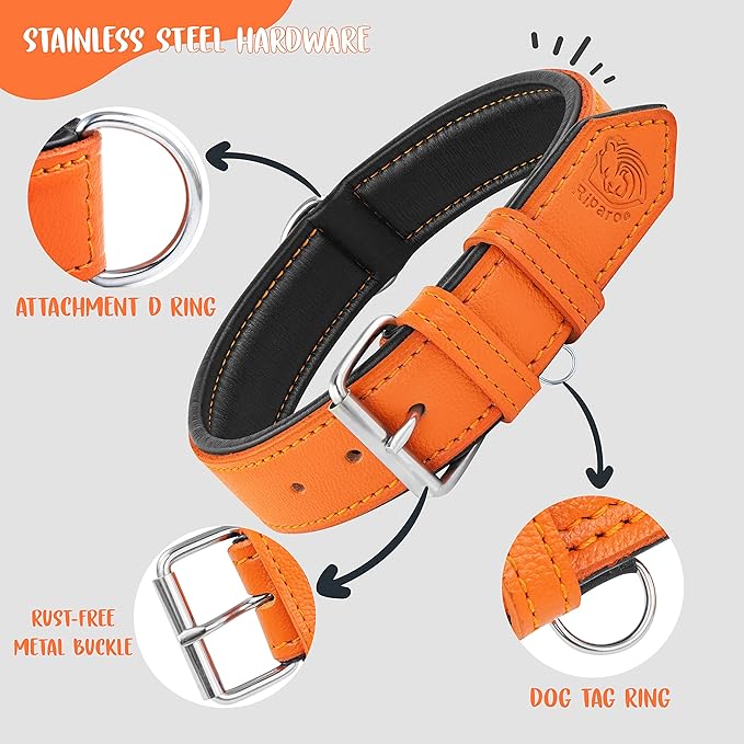 Riparo Leather Dog Collar, Large Dog Collar, Padded Heavy Duty Dog Collar with Dog Tag Holder, Orange Dog Collar (XL, Orange)