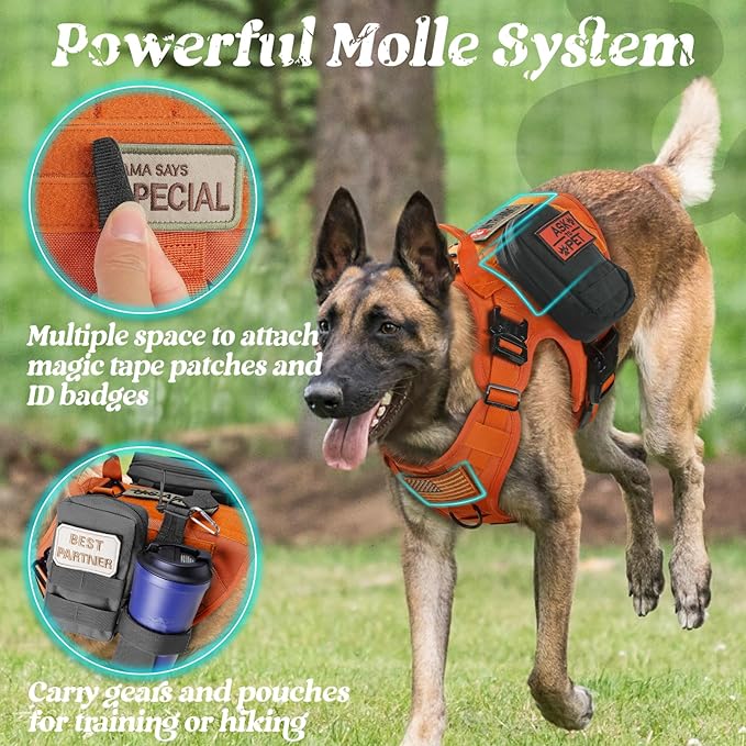 rabbitgoo Tactical Dog Harness for Large, Heavy Duty Pet Harness with Handle, No-Pull Service Vest Large Breed, Adjustable Military Dog Vest for Training Hunting Walking, Orange, XL