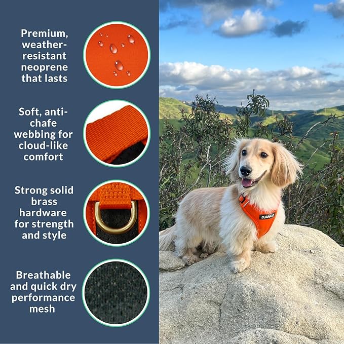 DJANGO Adventure Dog Harness - Stylish, & Durable Small Dog Harness for Outdoor Adventures and Everyday Wear - Sunset Orange Neoprene Adjustable Harness for Dogs with Reflective Piping & Brass D-Ring