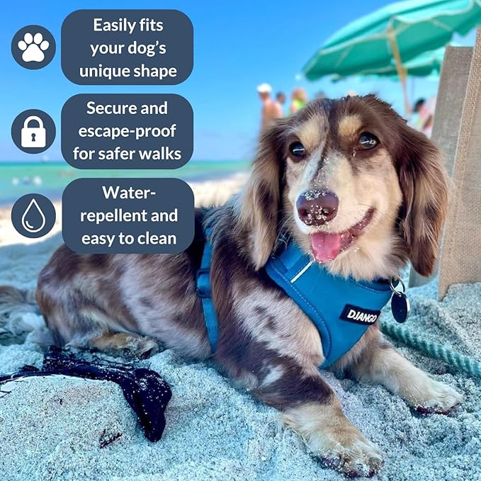 DJANGO Adventure Dog Harness - Stylish & Durable Small Dog Harness for Outdoor Adventures and Everyday Wear - Pacific Blue Neoprene Adjustable Harness for Dogs with Reflective Piping, Brass D-Ring