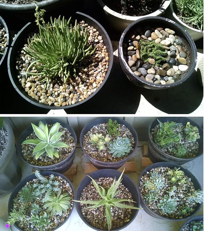 River Rock Stones, Natural Decorative Polished Mixed Pebbles Gravel,Outdoor Decorative Stones for Plant Aquariums, Landscaping, Vase Fillers (9 LB, Mixed Colors)