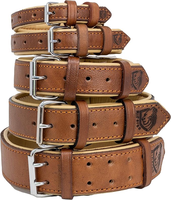 Riparo Dog Collars for Medium Dogs, Genuine Leather Dog Collar, Medium Dog Collar (M: 1" Wide for 13.5”-17.5” Neck, Black/Orange Thread)