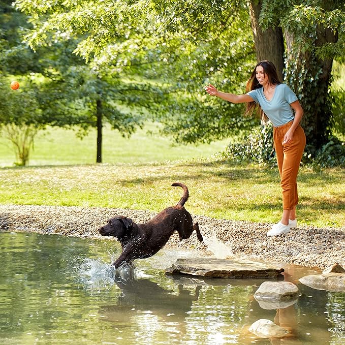 Nature′s Recipe Chicken, Barley & Brown Rice Recipe Dry Dog Food, 24 lb. Bag