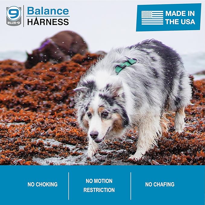 Blue-9 Buckle-Neck Balance Harness, Fully Customizable Fit No-Pull Harness, Ideal for Dog Training and Obedience, Made in The USA, Hunter Green, Small