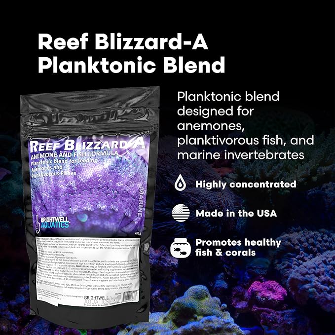 Brightwell Aquatics Reef Blizzard-A – High-Protein Planktonic Blend for Anemones, Planktivorous Fish & Marine Invertebrates – Enhances Color & Growth, 50g