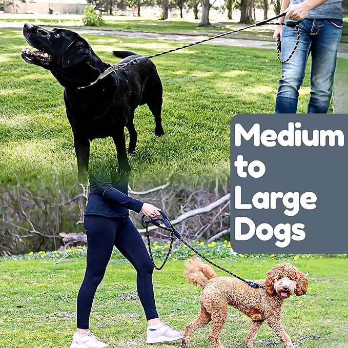 Premium 6 Ft Dog Leash - Two Extra Padded Handles, Heavy Duty Leashes for Medium Dogs to Large Breeds, Reflective, Shock-Absorbing, Anti-Pull Rope Leash, Strong Pet Lead for Everyday Walks - Roam Gear