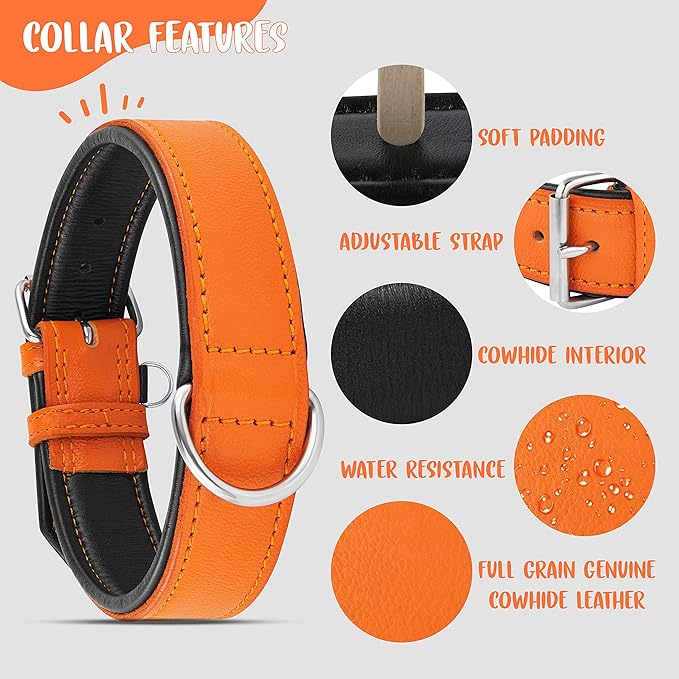 Riparo Leather Dog Collar, Large Dog Collar, Padded Heavy Duty Dog Collar with Dog Tag Holder, Orange Dog Collar (XL, Orange)