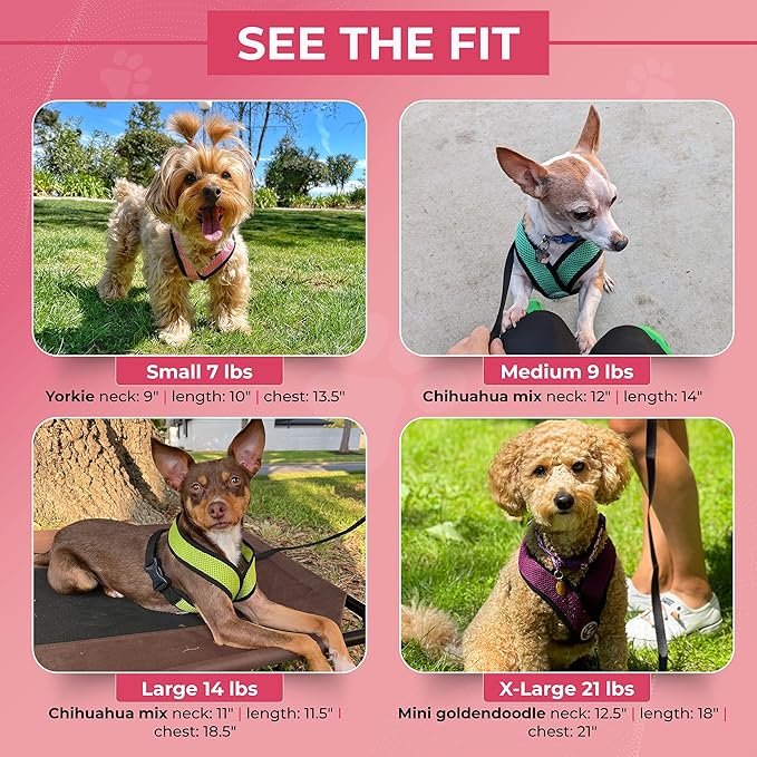 Gooby Comfort X Head in Harness - Turquoise, Large - No Pull Small Dog Harness, Patented Choke-Free X Frame - On The Go Dog Harness for Medium Dogs No Pull or Small Dogs for Indoor and Outdoor Use