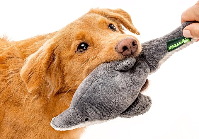 Dog Toys | Plush Toy Dolphin Stuffed Animal for Dogs | Medium Eco Friendly Toy - Easy to Clean and Made from Non Toxic Materials