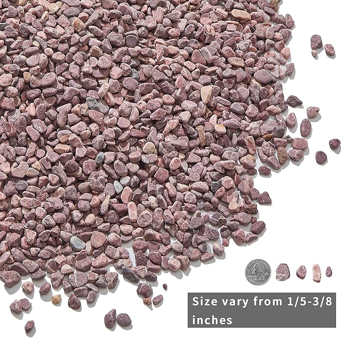 2lb Succulent and Cactus Gravel Pebbles 1/5-3/8 Inch Natural Decorative Polished Stones River Rocks for Plants, Vases, Aquariums, Terrarium and Outdoor Gardening, Rouge Red Color