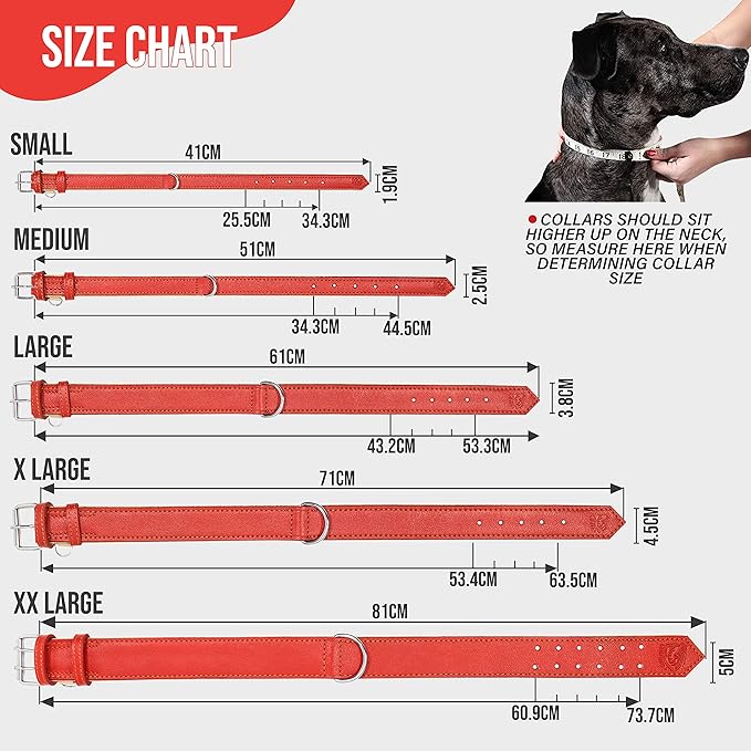 Riparo Large Dog Collar, Red Dog Collar for Large Breeds, Dog Collar Boy with Dog Tag Holder (L: 1.5" Wide for 17"-21" Neck, Red)