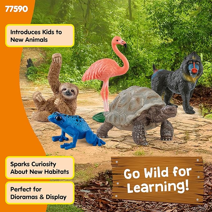 Schleich Wild Life - 5PC Exotic Animal Starter Playset Figurine Bundle - With Flamingo, Sloth, Frog, Giant Tortoise and Monkey Figures for Boys and Girls - Realistic Animal Toys Kids Ages 5+ | 77590