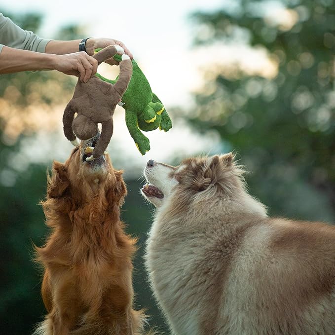 Squeaky Disk & Built-in Ropes Dog Plush Toy, Bustling Safari Collection, 15", for Dogs of All Breeds (Frog)