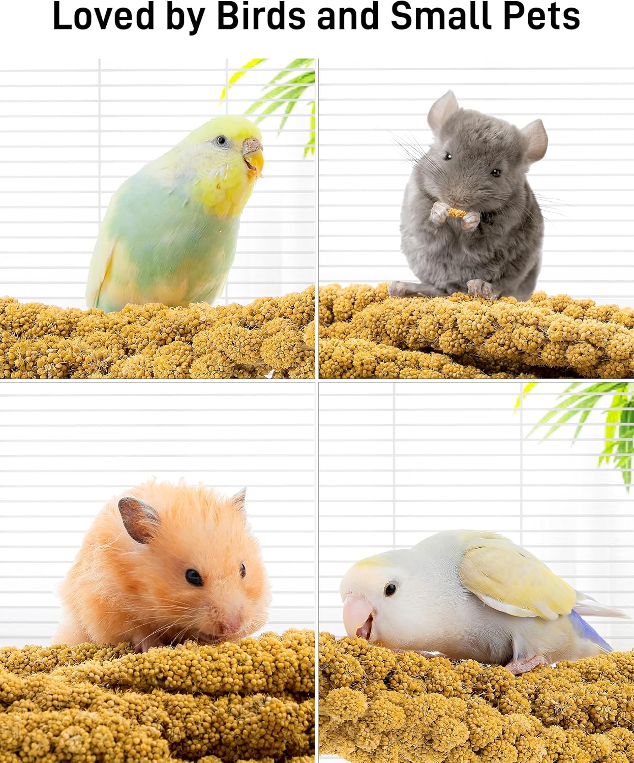 BUCATSTATE Spray Millet for Birds, Sun-Dried Healthy Millet Parakeet Treats for Parrots Cockatiel Lovebird Finch, GMO-Free Parakeet Food - 1.1lb