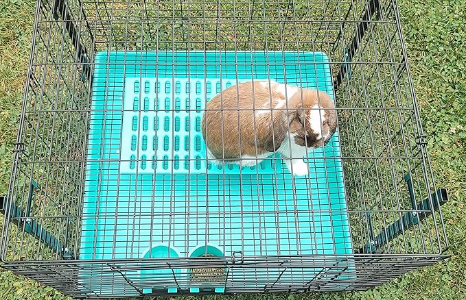 Saguaro Acres Rabbit and Small Animal Cage Resting Mat for Wire Floored Cages 2 Pack (Purple & Teal)