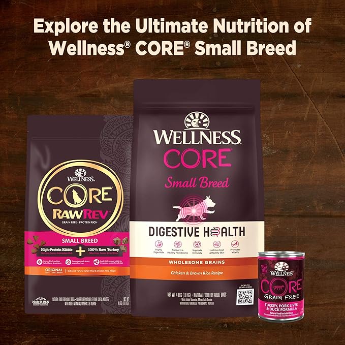 Wellness CORE Natural Grain Free Small Breed Mini Meals Wet Dog Food, Shredded Chicken & Turkey Dinner in Gravy, 3-Ounce Pouch (Pack of 12)